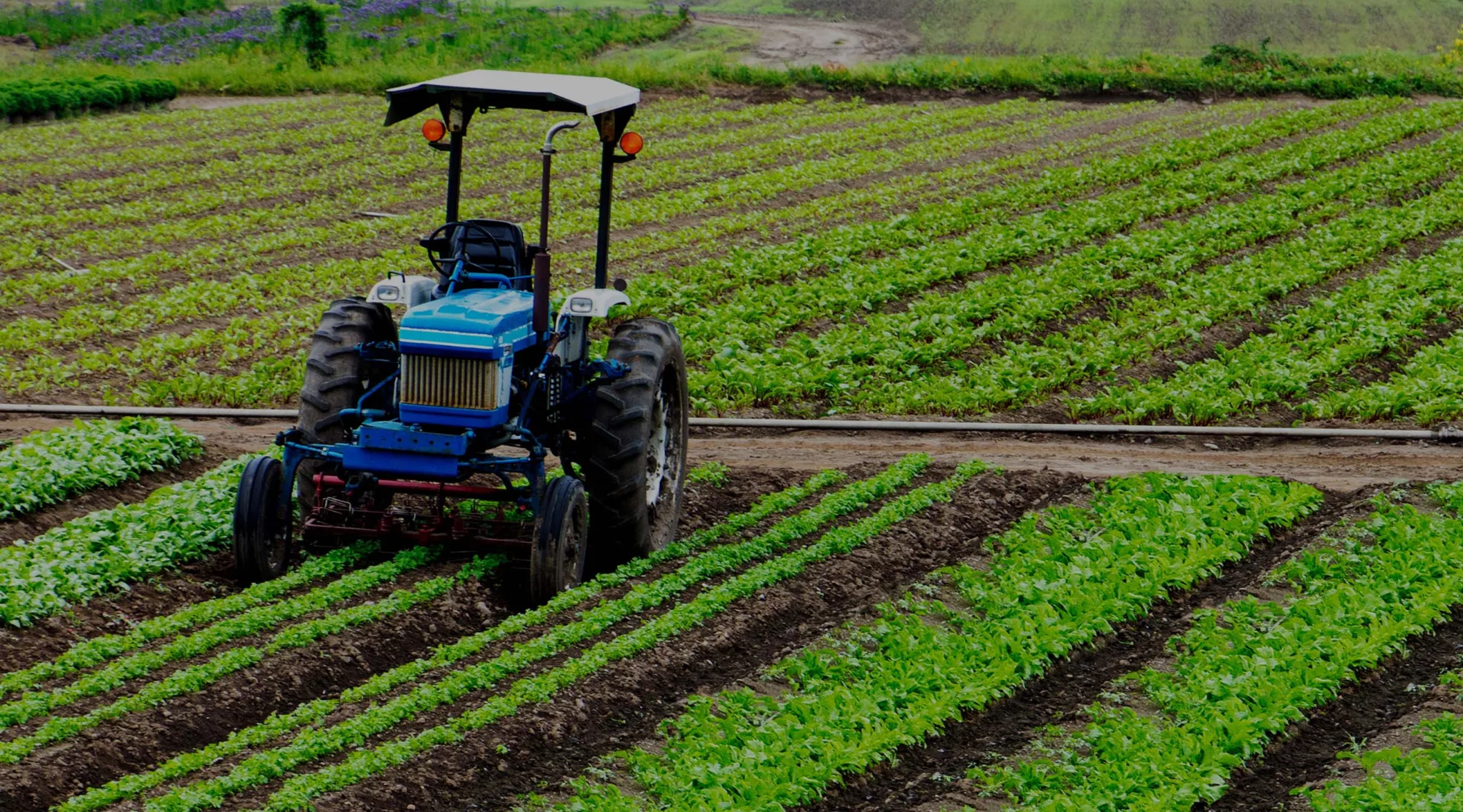 s mobile agriculture mexygabriel 2048x1138